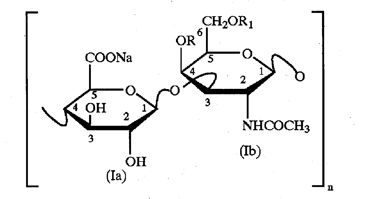 Screening method for producing chondroitin sulfate bacterial strain and application of bacterial strain fermentation method in production of chondroitin sulfate