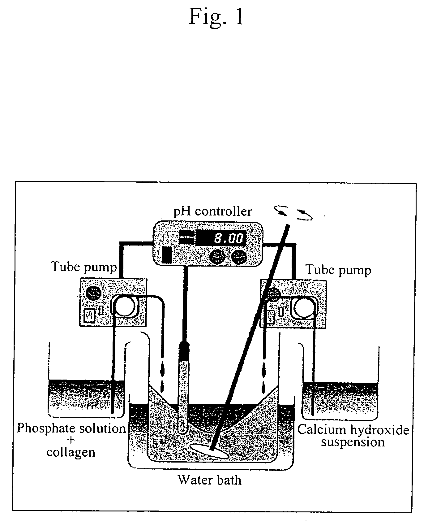 Organic/inorganic composite biomaterials and process for producing the same