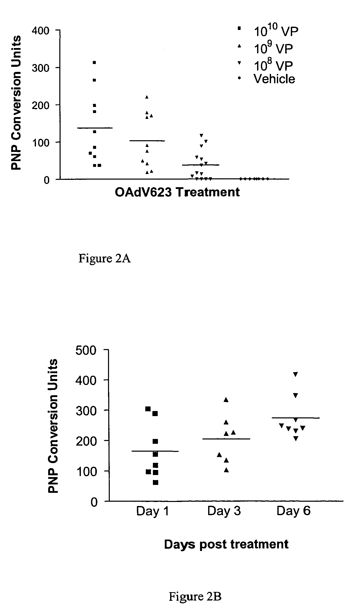 Regulatory constructs comprising intron 3 of prostate specific membrane antigen gene