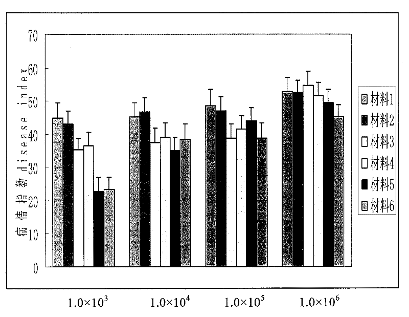 Method for quickly identifying resistance of Chinese cabbage germplasm to black-spot disease