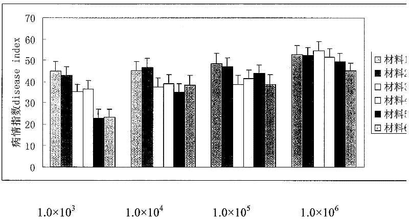 Method for quickly identifying resistance of Chinese cabbage germplasm to black-spot disease