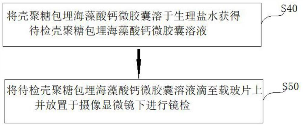 Preparation method and microscopic examination method of chitosan embedded calcium alginate microcapsule