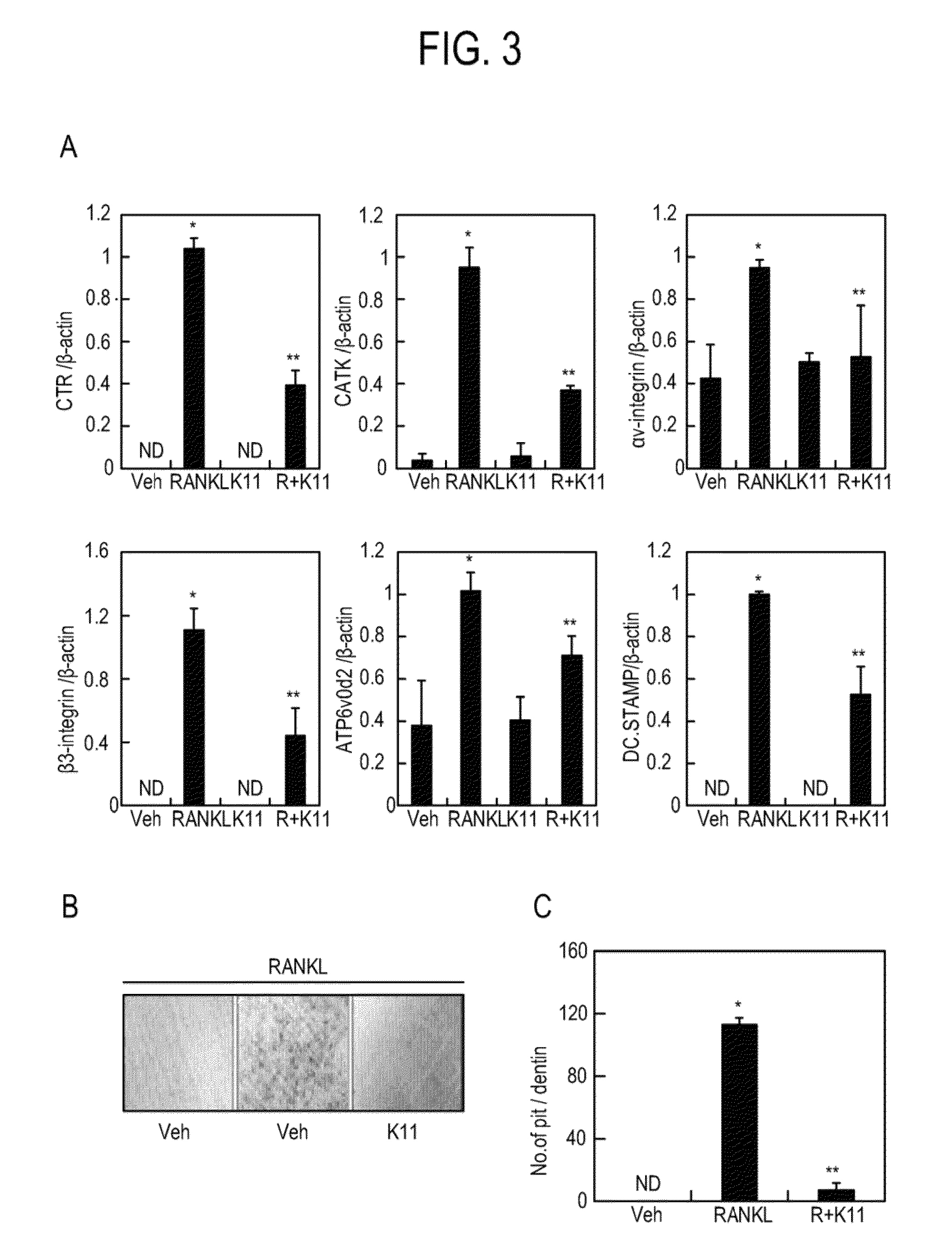 Compounds for alleviation, prevention or treatment of osteoporosis, the preparation thereof and pharmaceutical composition comprising the same