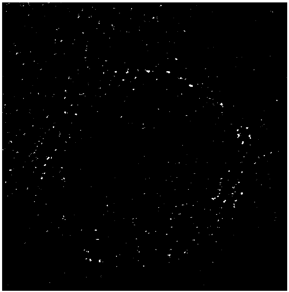 Method for characterizing second phase of ferromagnetic alloy powder