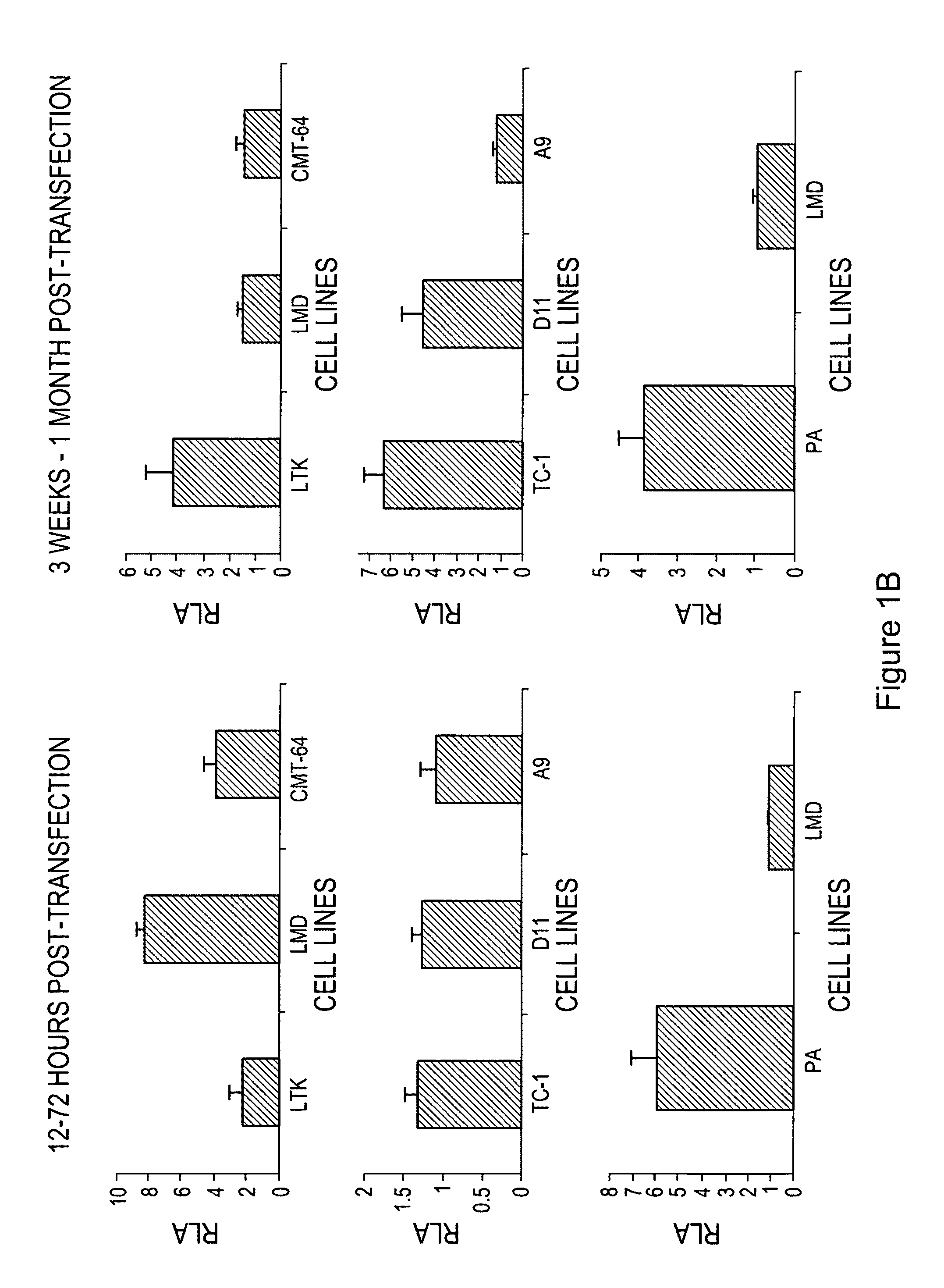 Hat acetylation promoters and uses of compositions thereof in promoting immunogenicity