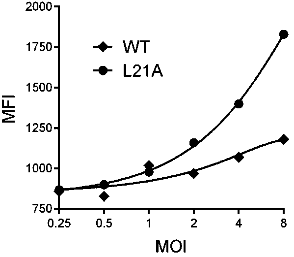 Rhabdovirus expression vector capable of relieving high-titer inhibition