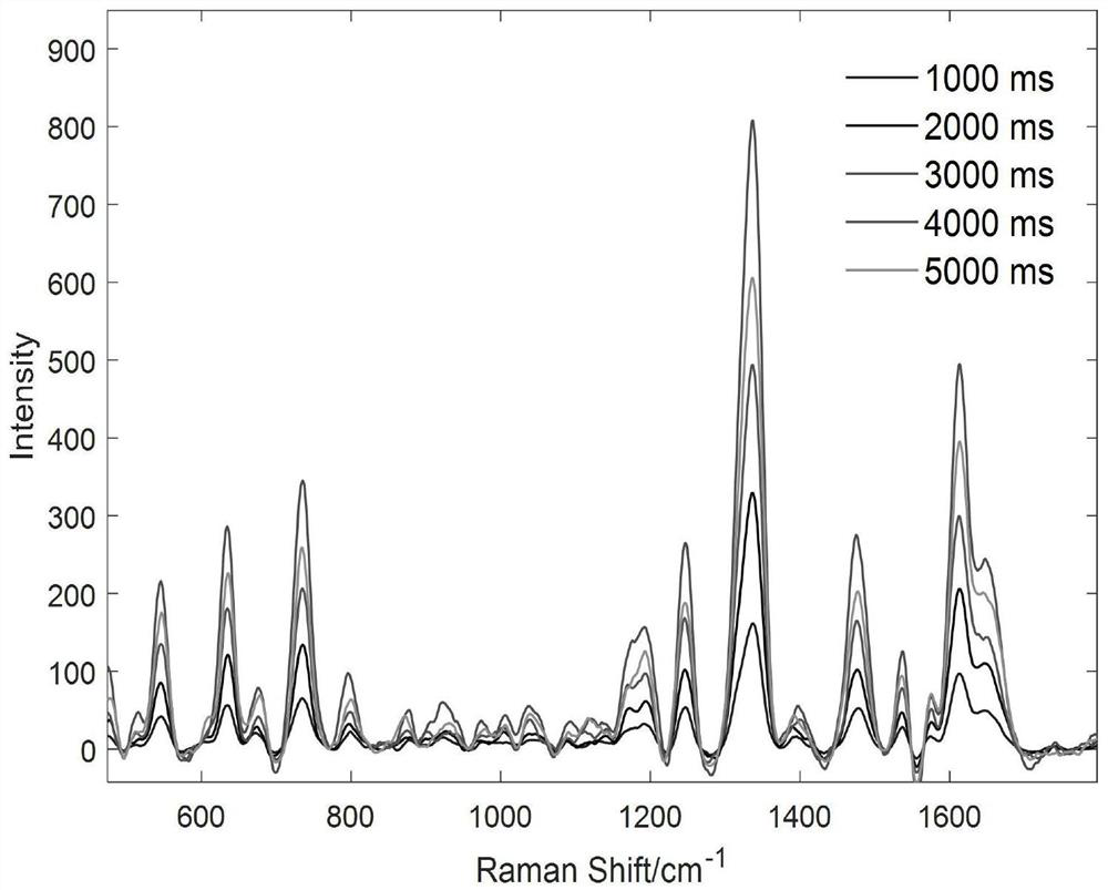 Method for detecting anthocyanin in mulberries based on Raman spectrum technology