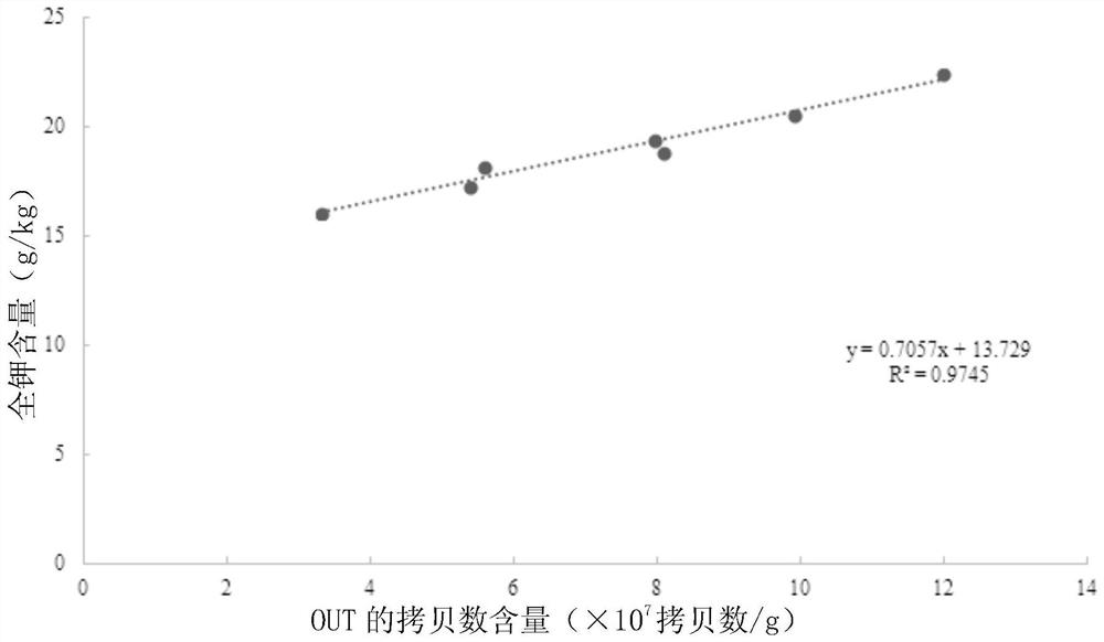 Method for rapidly detecting total potassium content of urban green land soil by using archaea molecular marker OTU240