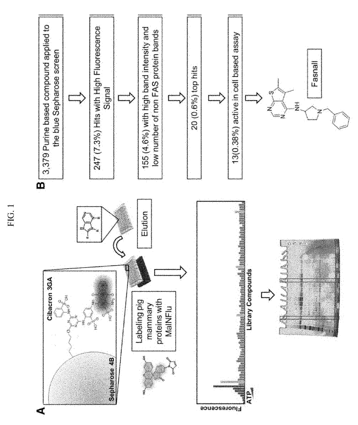 Fatty acid synthase inhibitors