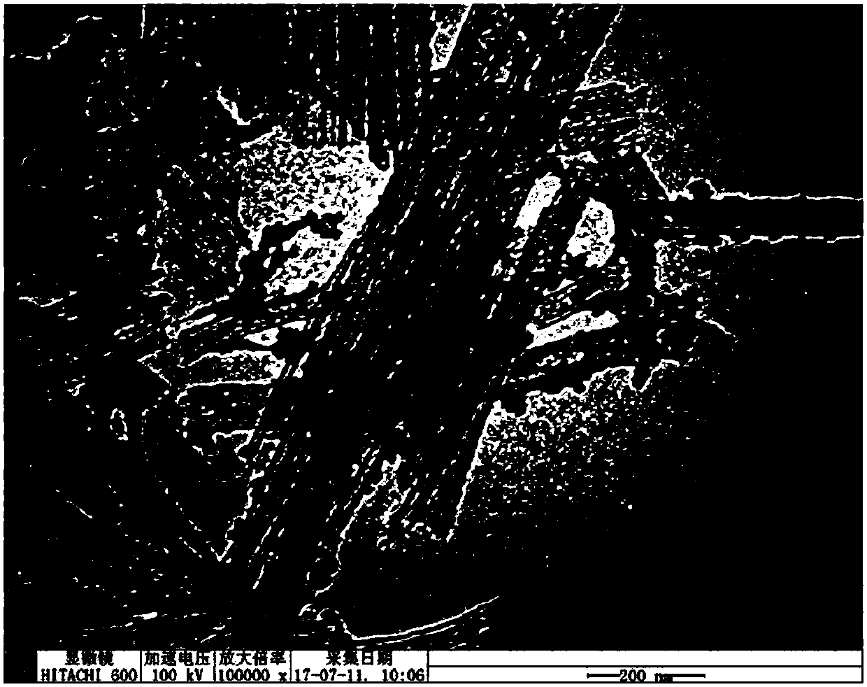 Preparation method of cobalt and nitrogen codoped carbon nanoparticle-carbon nanotube composite material