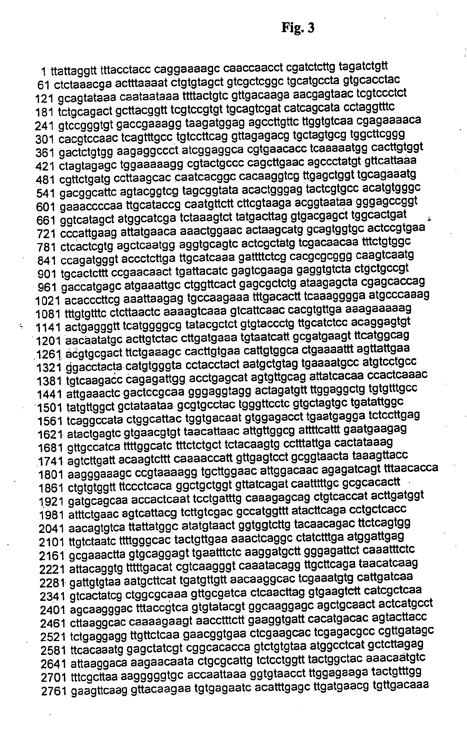 Modified Small Interfering RNA Molecules and Methods of Use