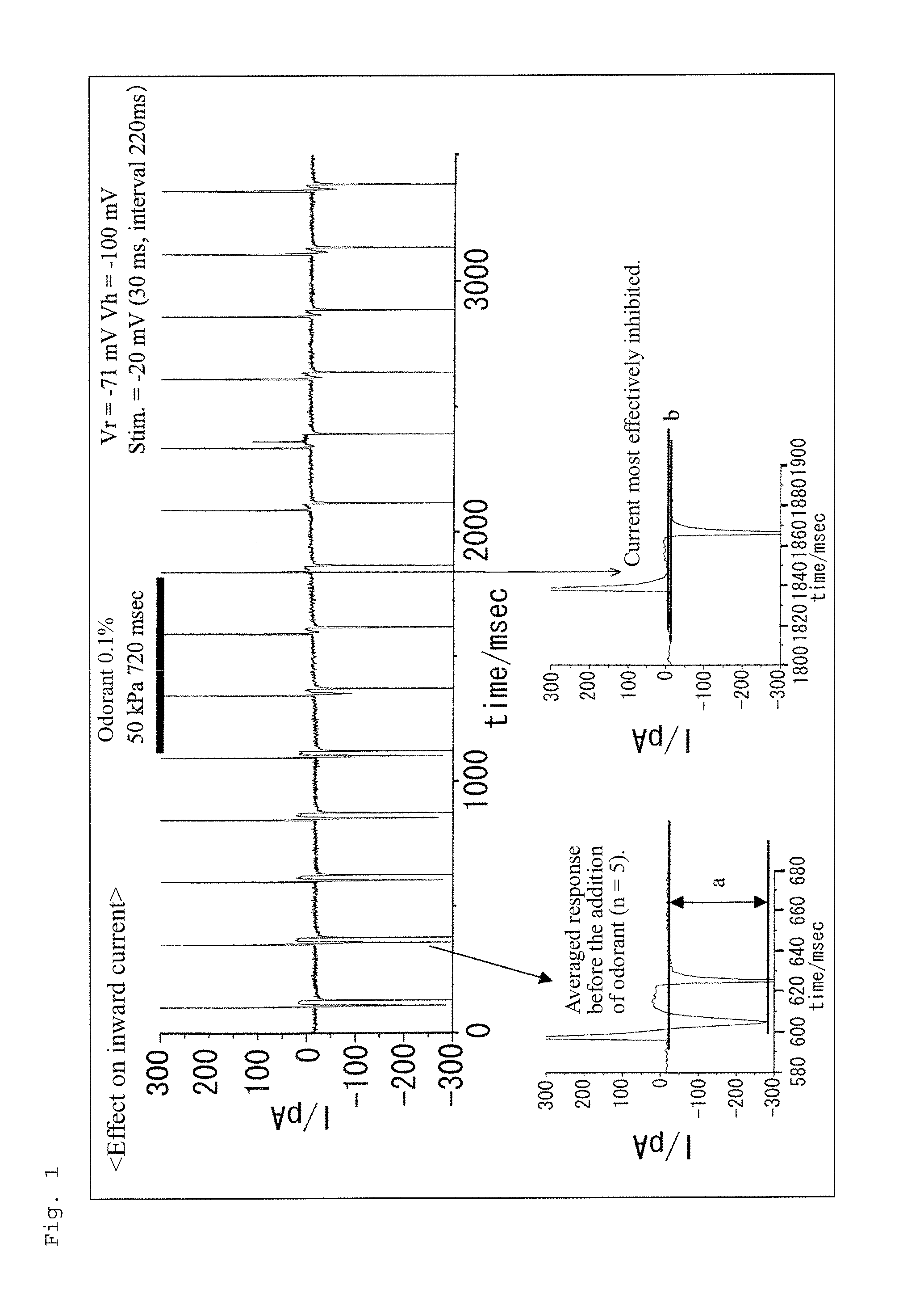 Method for screening olfactory sensibility inhibitor