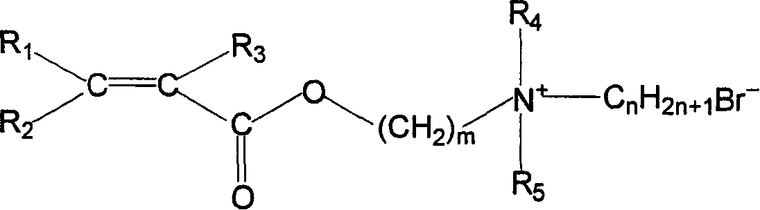 Hydrophobic associating water-soluble polymer of compound positive ions