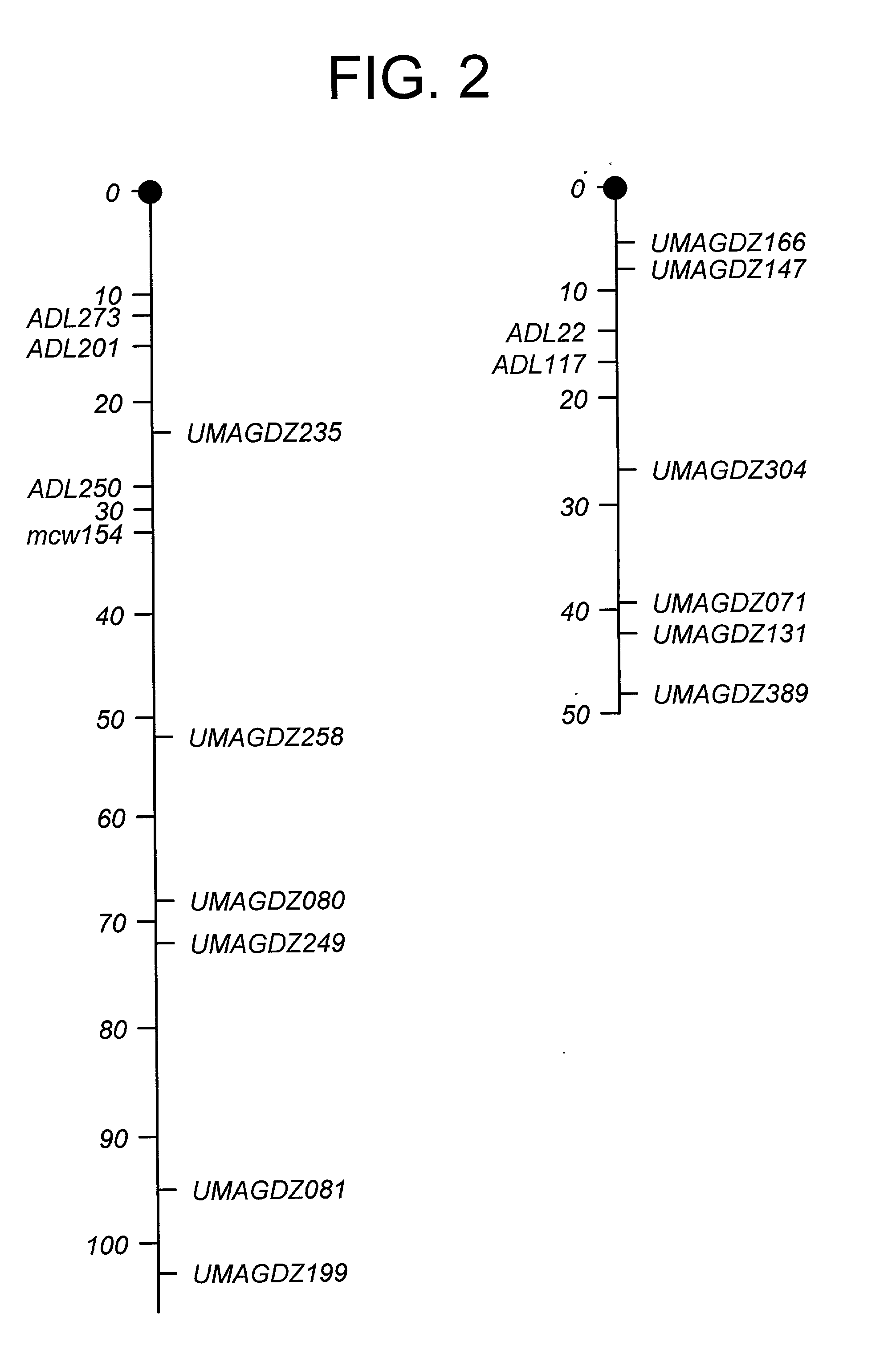 Z-chromosomal markers derived from chicken (gallus domesticus) and use thereof in chromosomal mapping