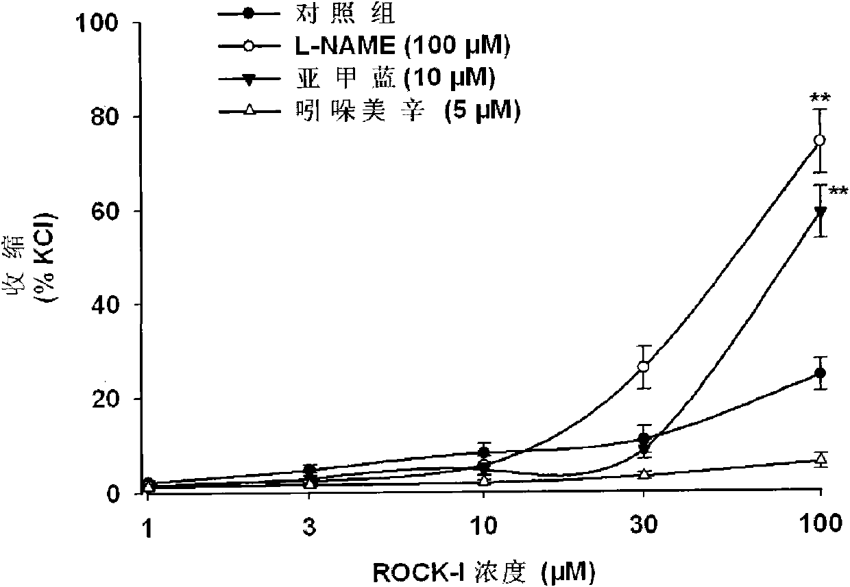 Application of recombinant human Rho kinase to preparation of medicaments