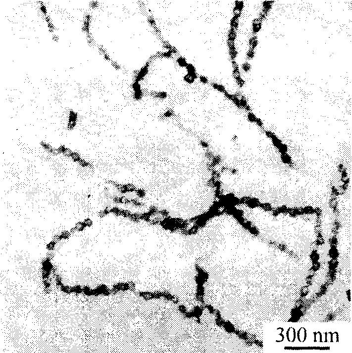 Hollow ball granular chain of nano-polycrystalline noble-metal and its production