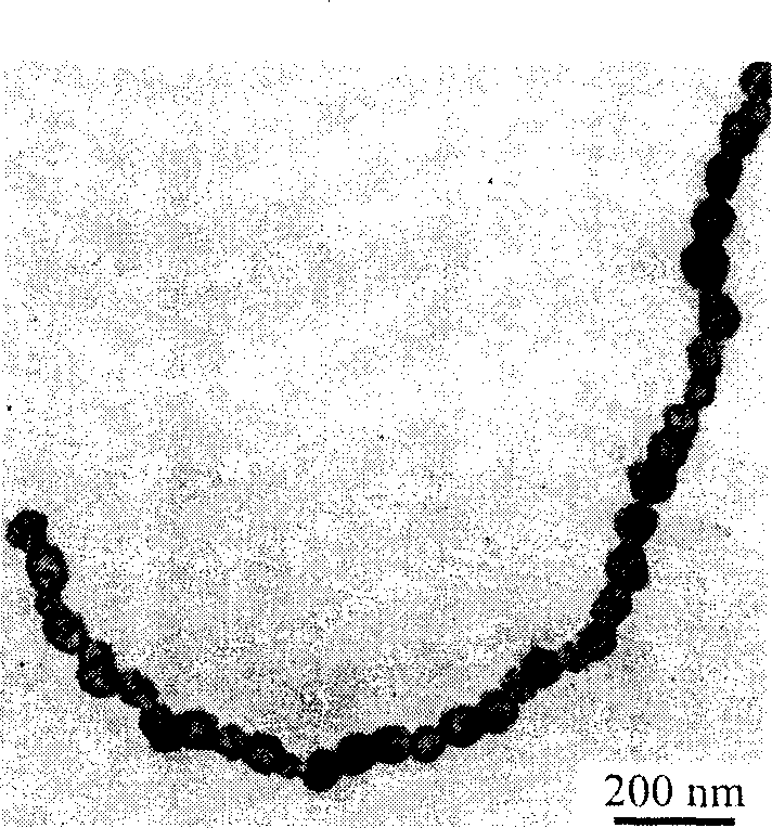 Hollow ball granular chain of nano-polycrystalline noble-metal and its production