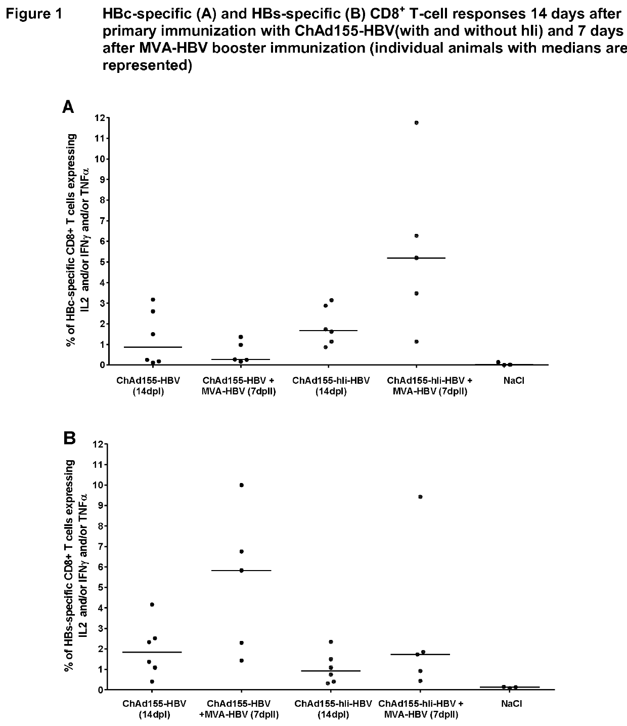 Hepatitis b immunisation regimen and compositions