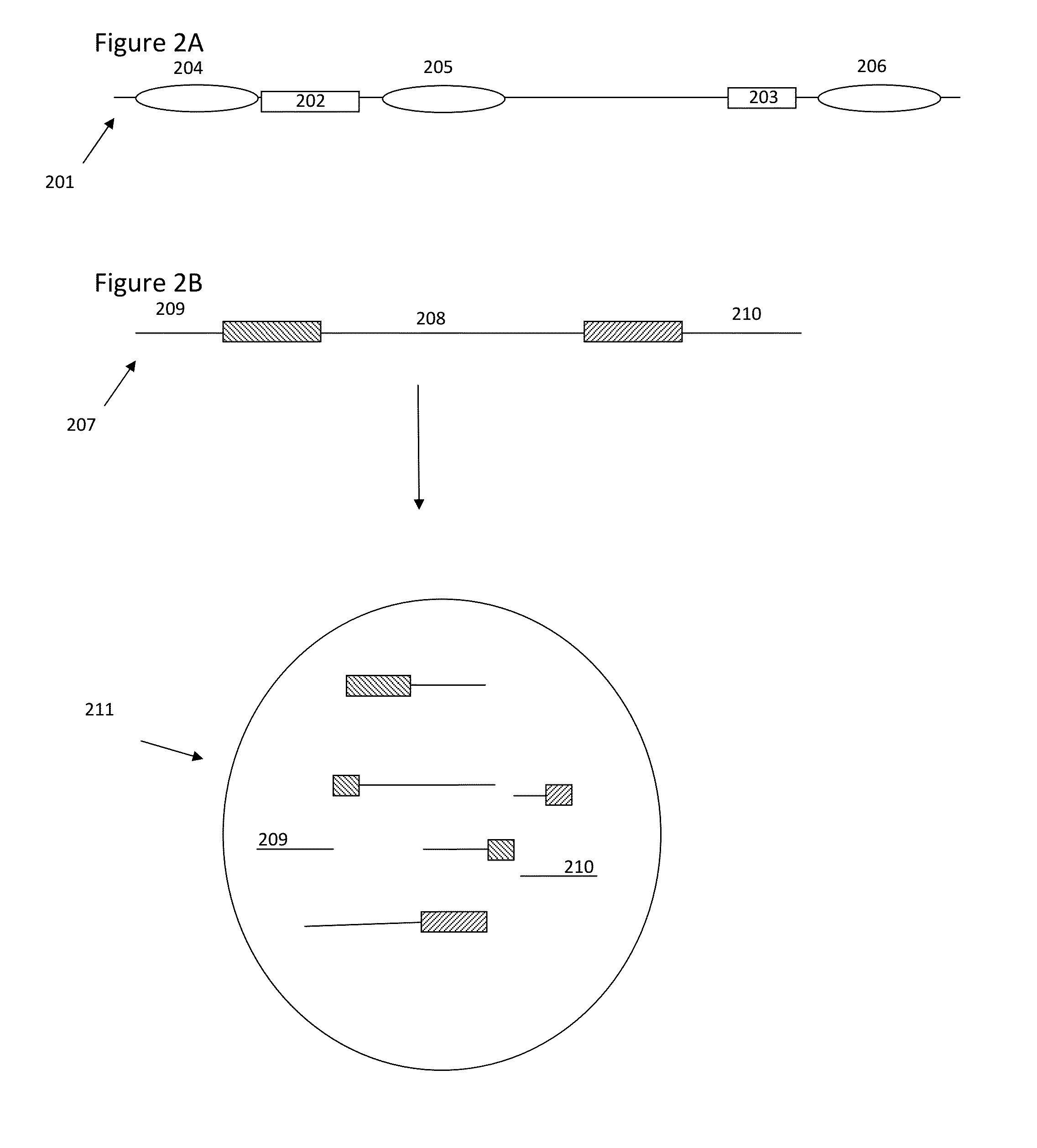 Methods and compositions for targeted nucleic acid sequencing