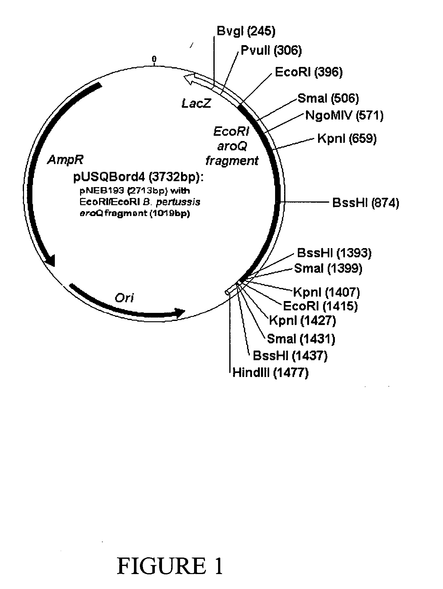 Defective entities and uses therefor