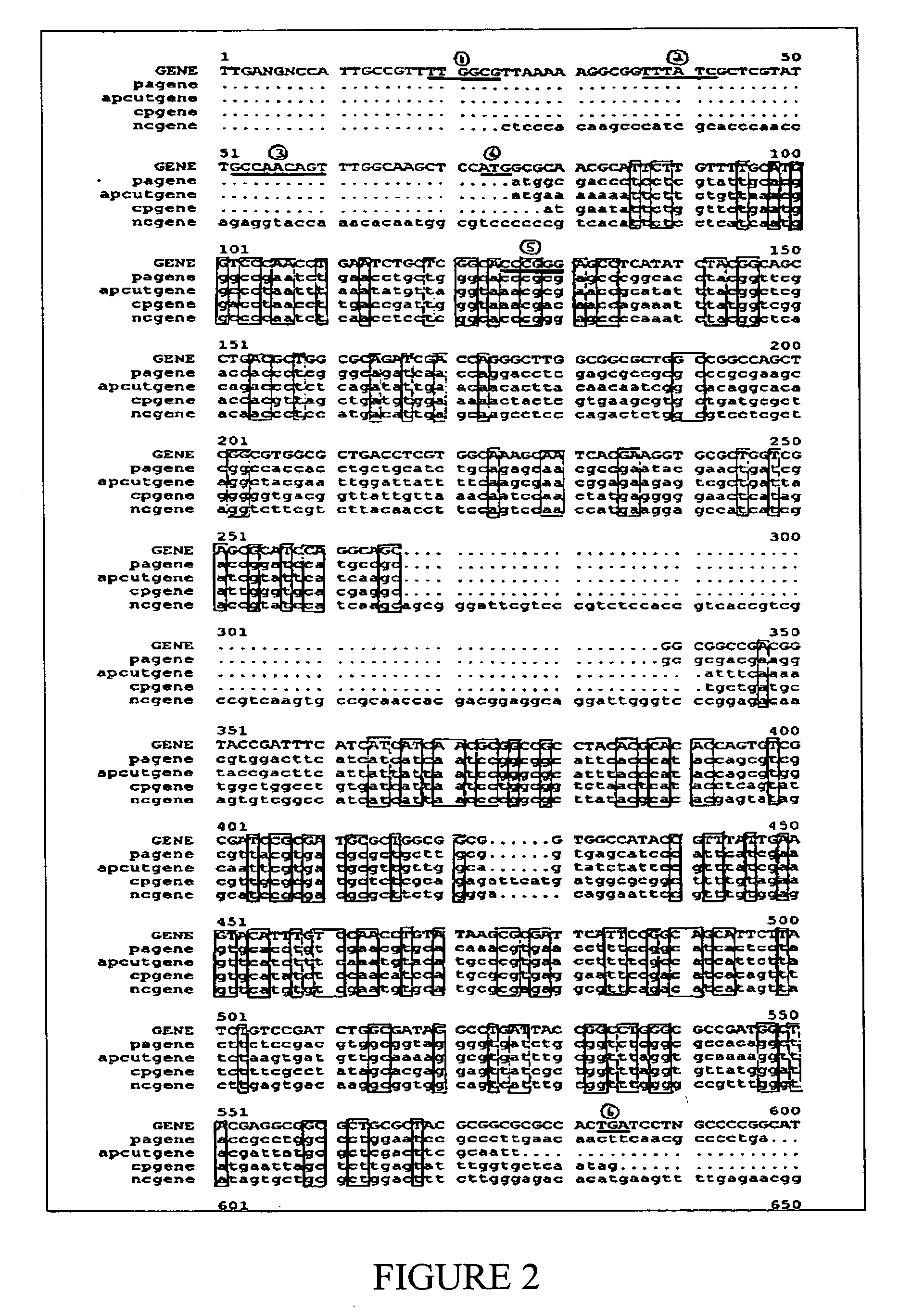 Defective entities and uses therefor