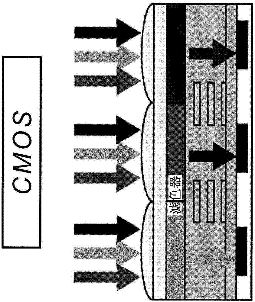 Specific n and p active materials for organic photoelectric conversion layers in organic photodiodes