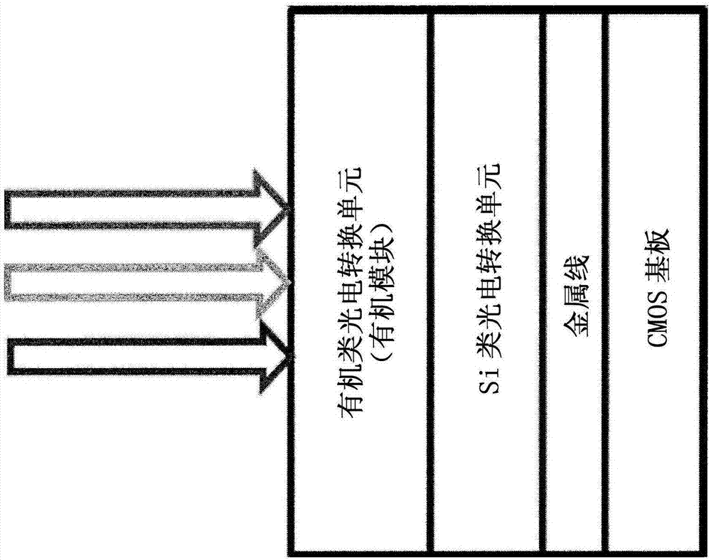 Specific n and p active materials for organic photoelectric conversion layers in organic photodiodes