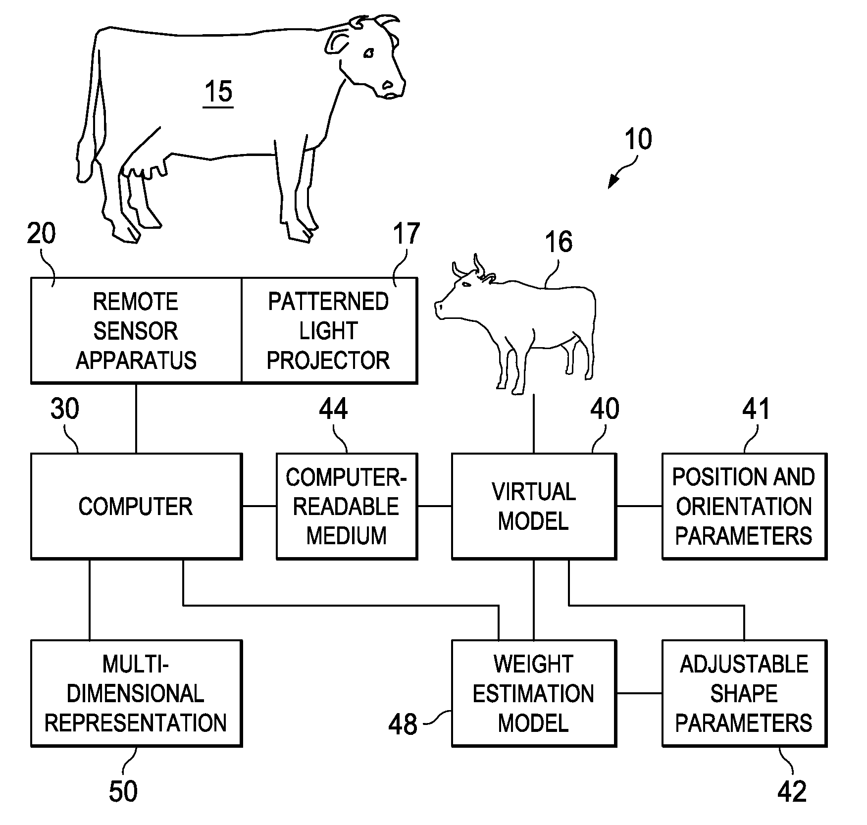 Remote Contactless Stereoscopic Mass Estimation System