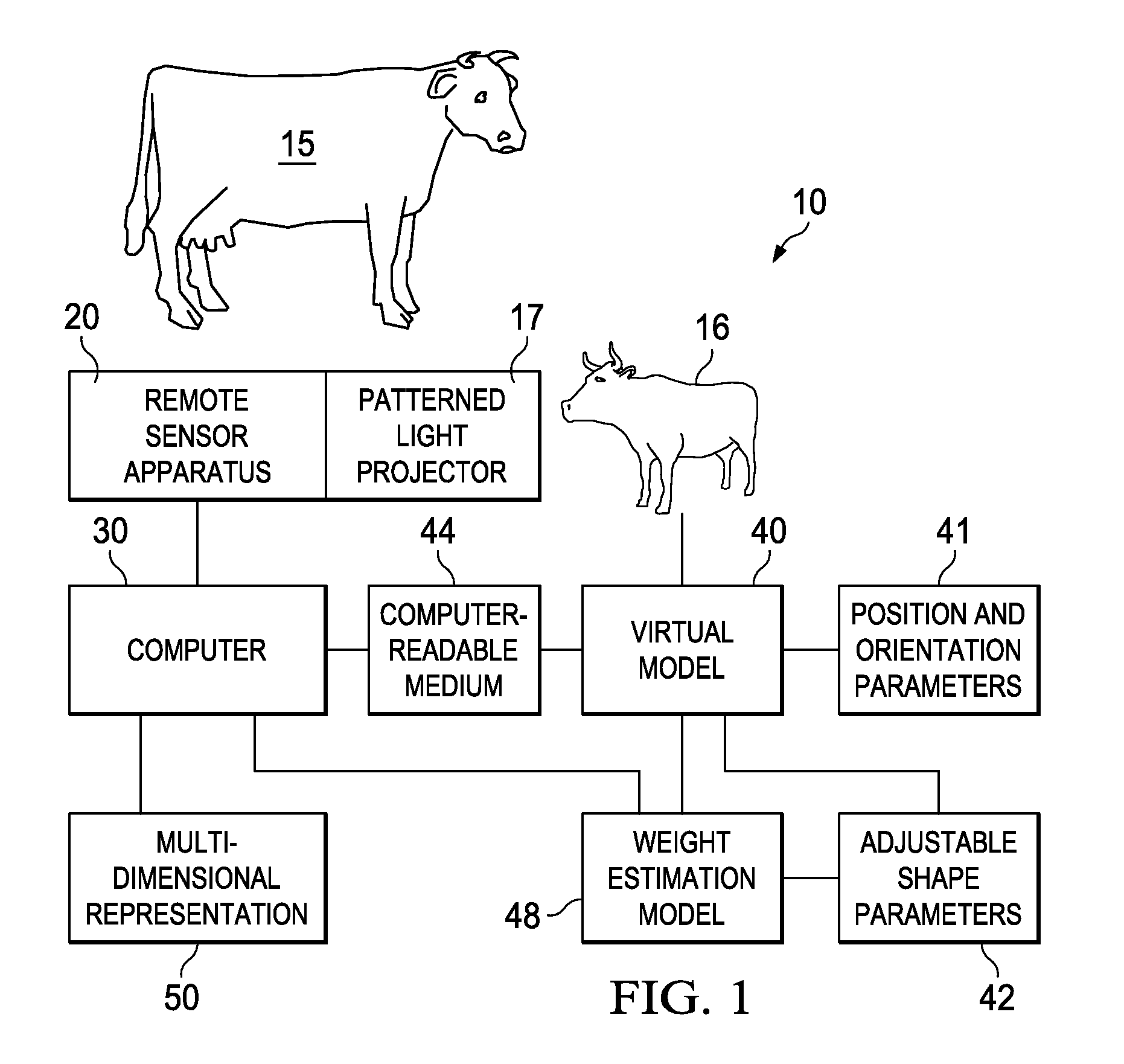 Remote Contactless Stereoscopic Mass Estimation System