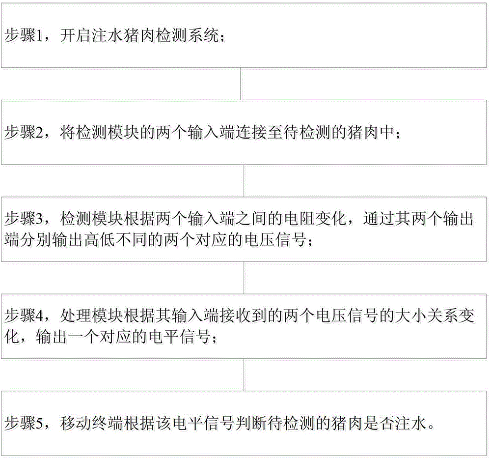 Water injection pork detection system and method