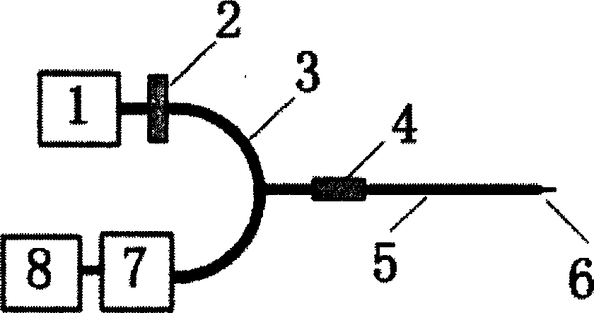 Optical surface plasma wave nucleic acid sensor system for detecting mononucleotide polymorphism and detecting method