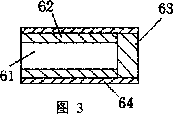 Optical surface plasma wave nucleic acid sensor system for detecting mononucleotide polymorphism and detecting method