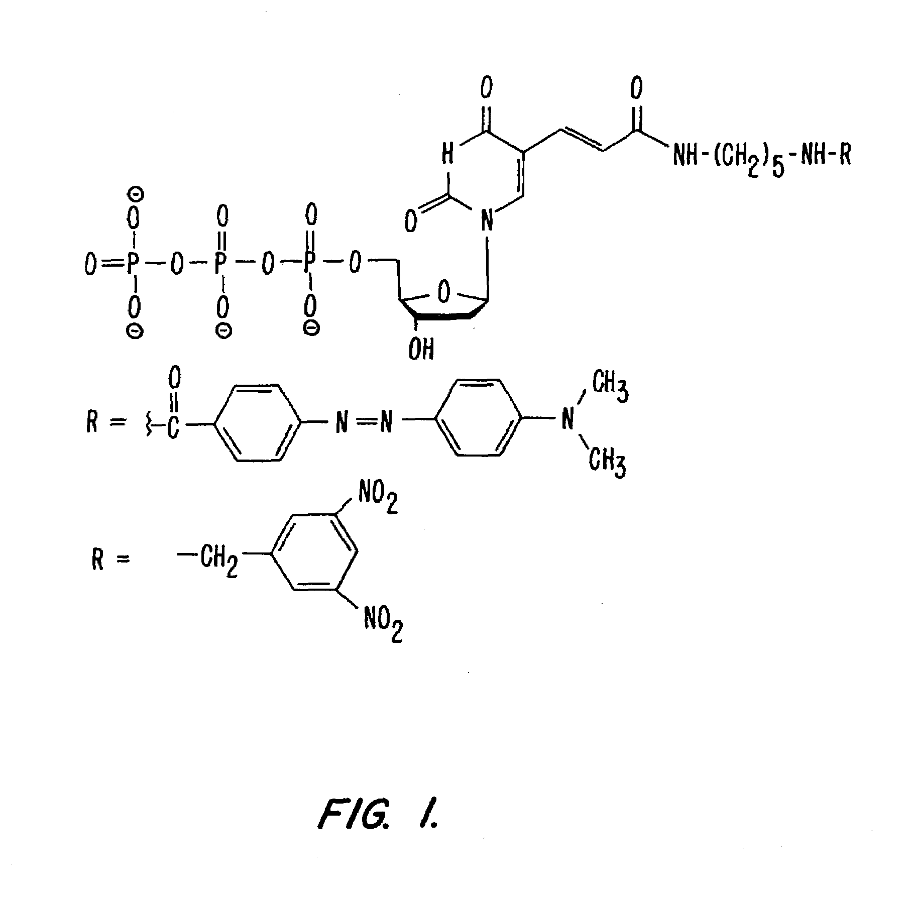 System and method for nucleic acid sequencing by polymerase synthesis