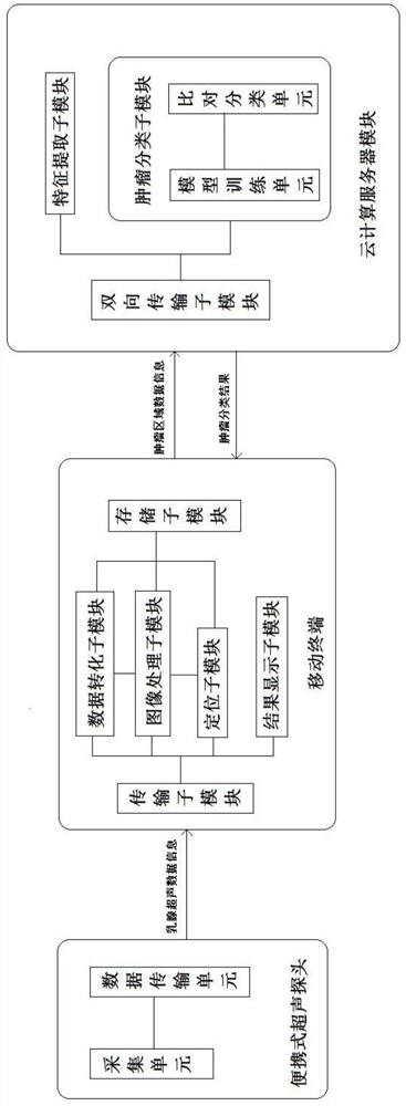 Portable ultrasonic breast tumor cloud classification system and method