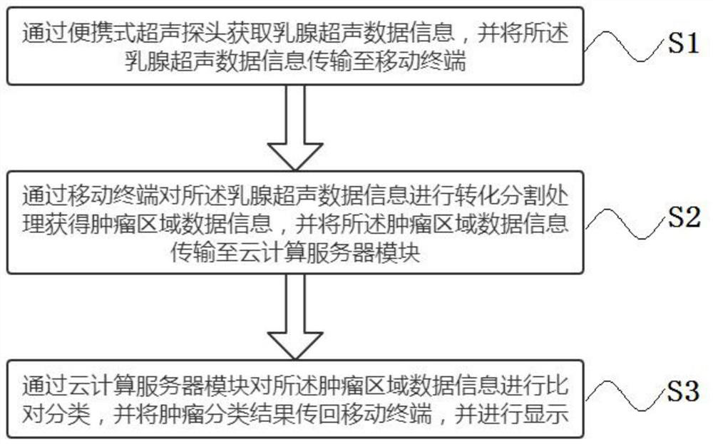 Portable ultrasonic breast tumor cloud classification system and method