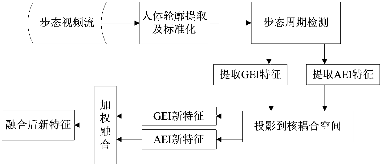 A gait feature fusion method based on nonlinear coupling metric learning