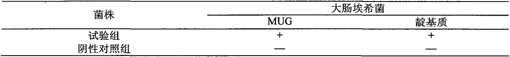 Double-membrane filtration method for microbiological testing of pharmaceuticals