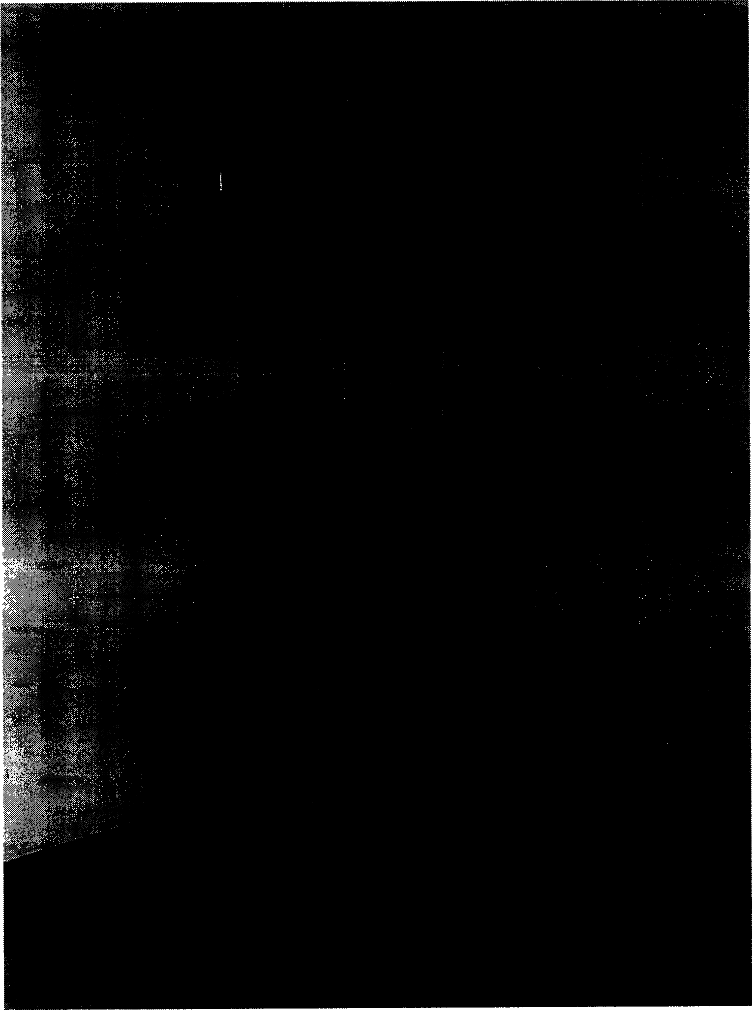 Hot press for membrane/sheet detection sample of thermoplastic macromolecule material