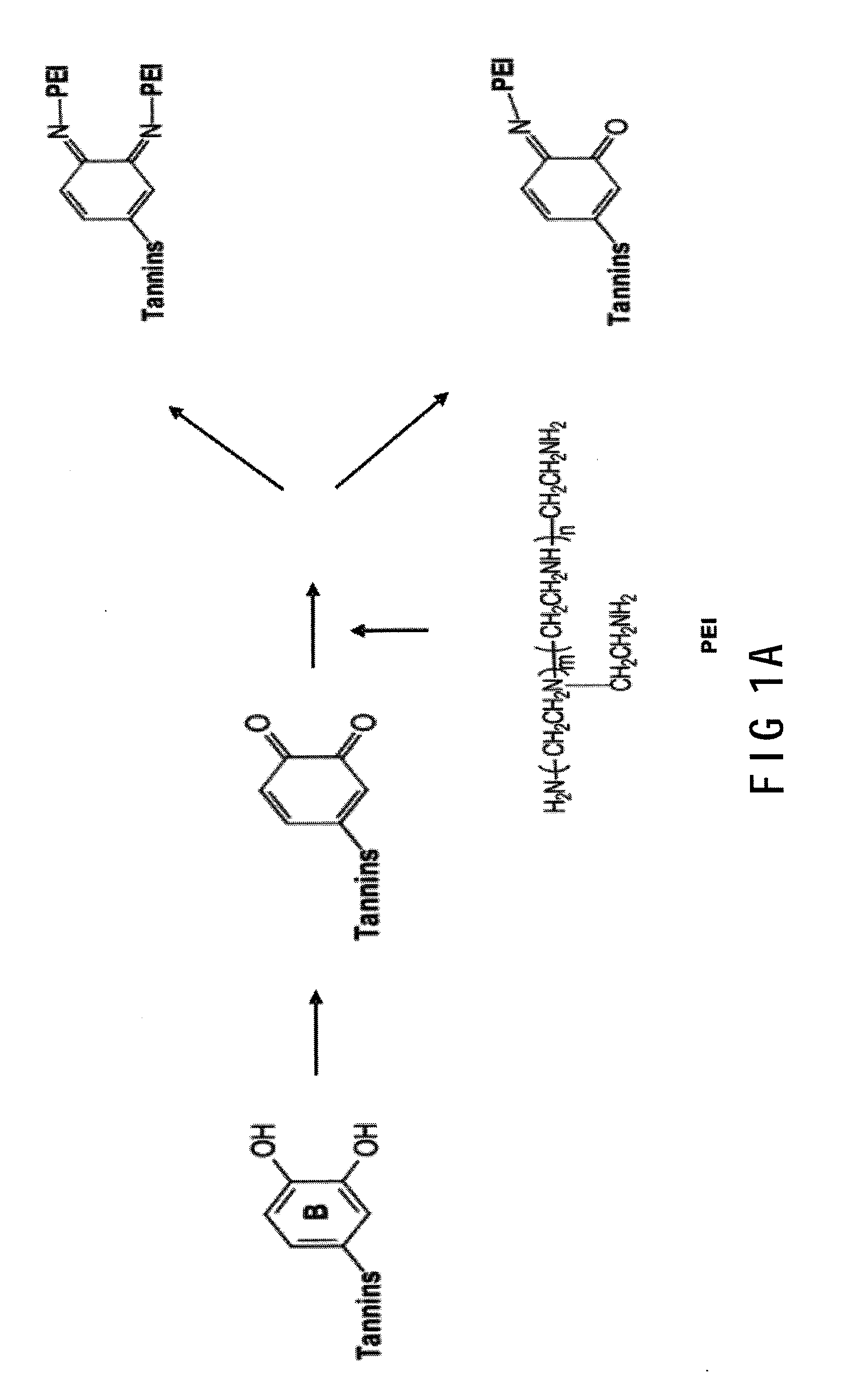 Method to stabilize liquid betalains