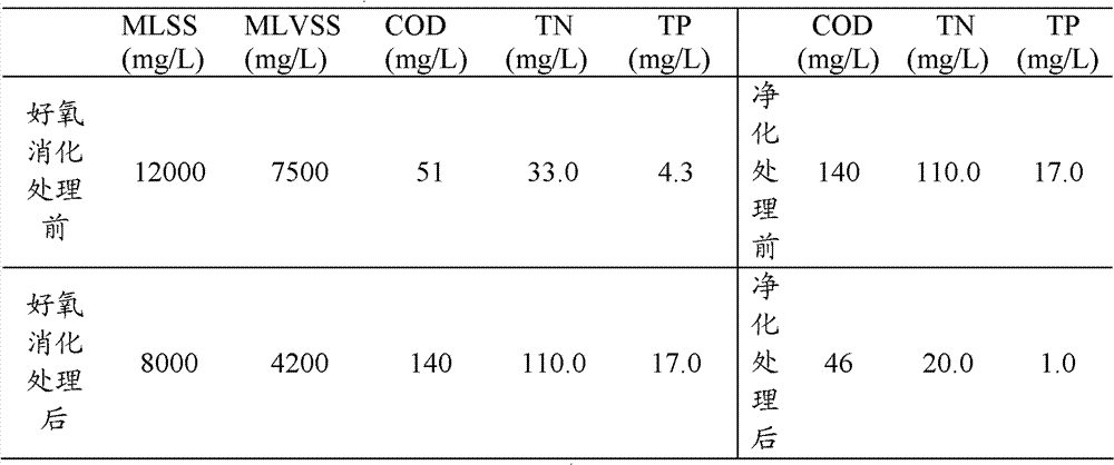 Treatment process and system of sludge from wastewater treatment plant