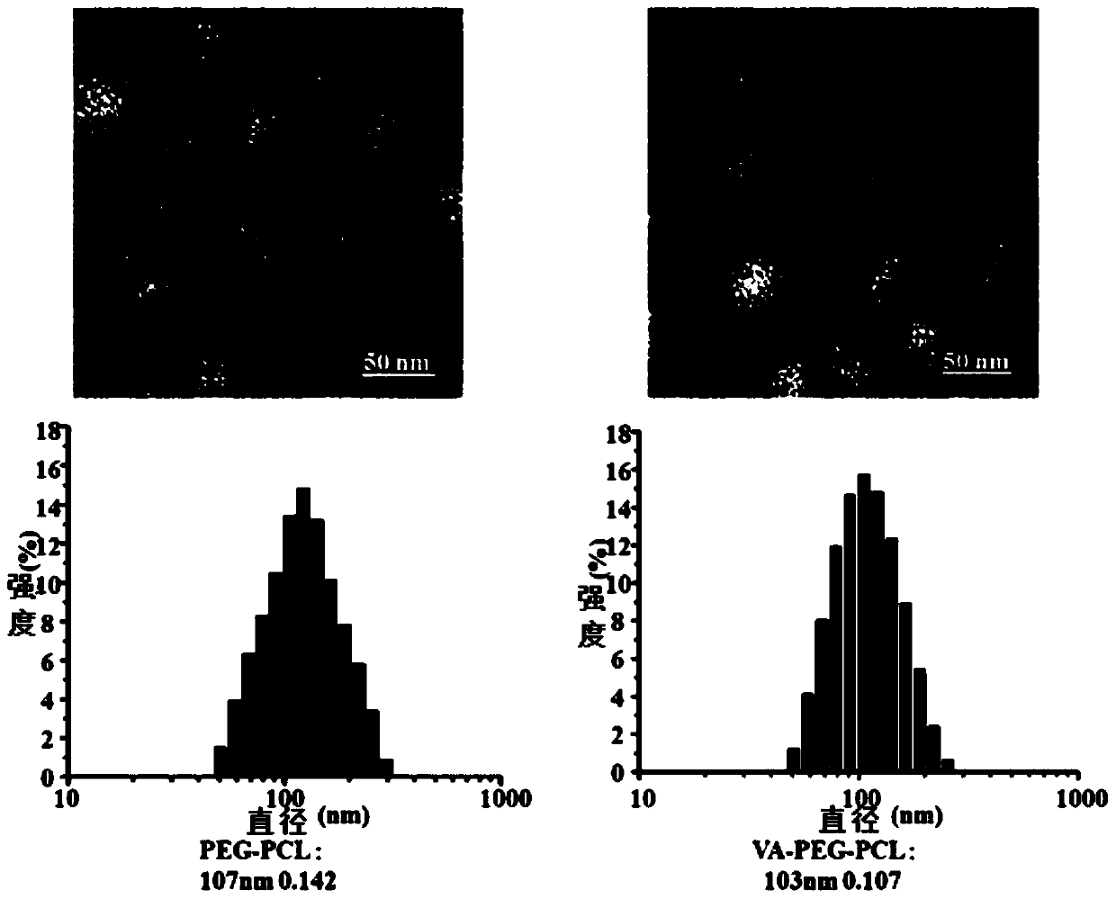 A grafted retinol polymer and a camptothecin compound using it as a carrier