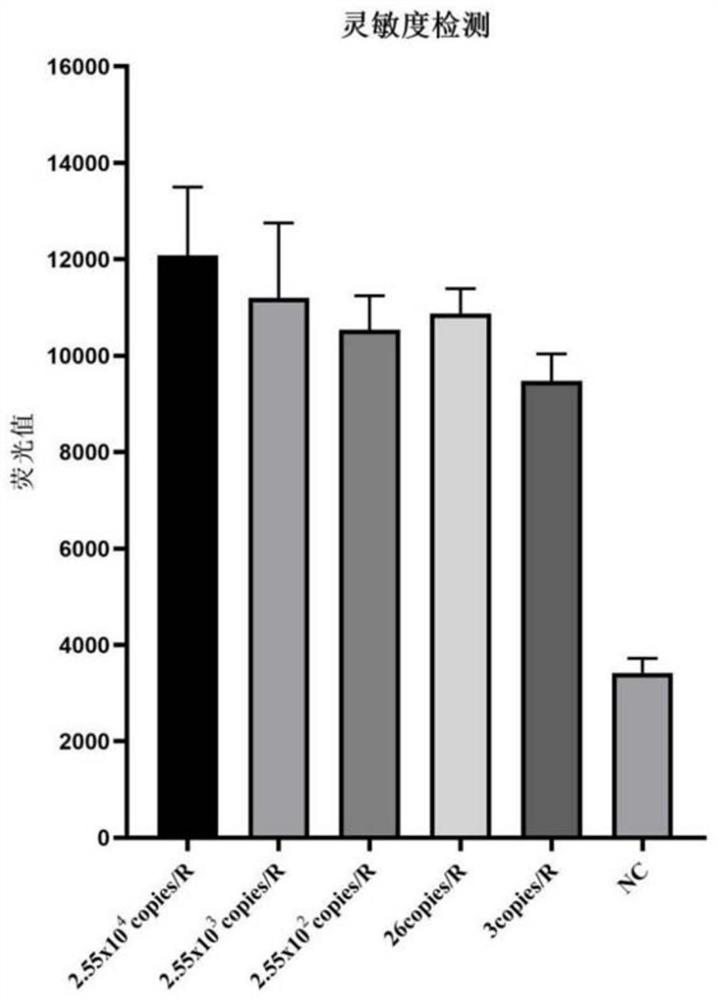 Novel coronavirus nucleic acid detection kit