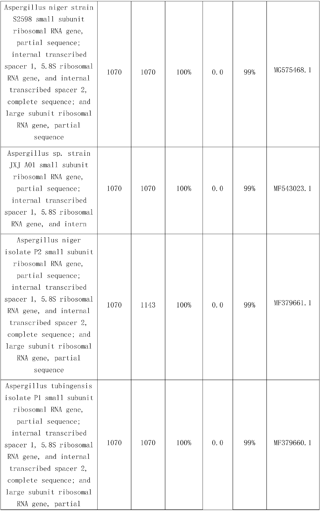 Aspergillus niger and application thereof