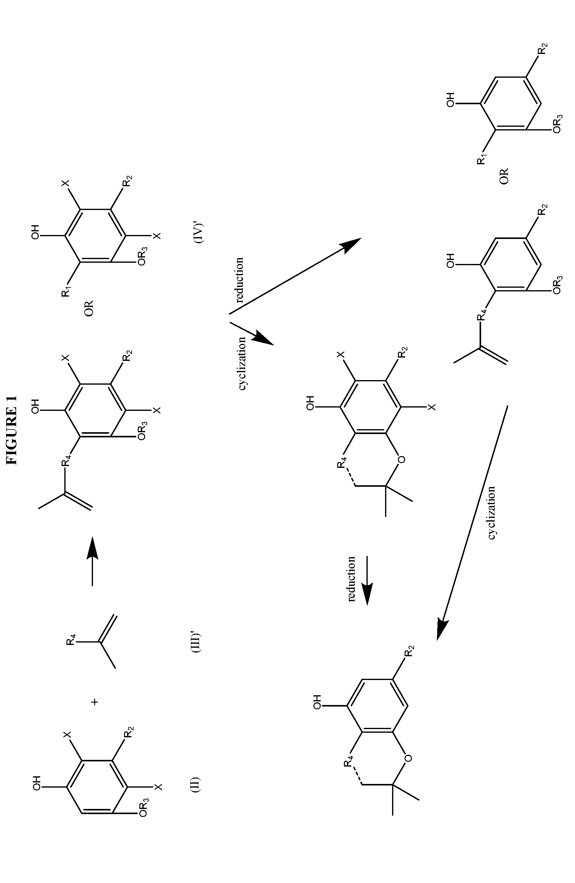 Process for the production of cannabidiol and delta-9-tetrahydrocannabinol