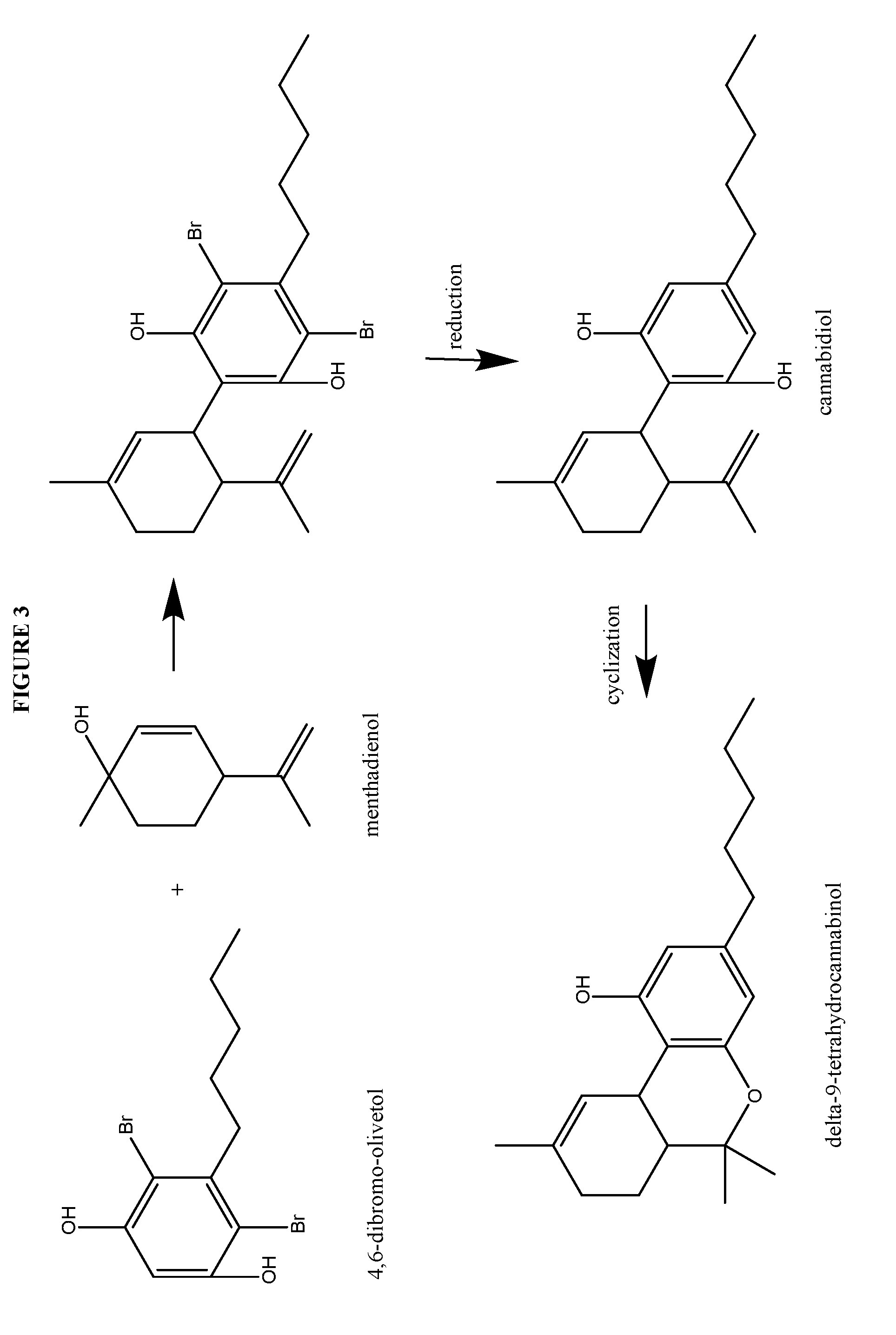 Process for the production of cannabidiol and delta-9-tetrahydrocannabinol