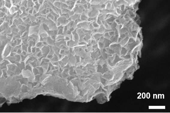 Method for treating heavy metal/organic matter combined pollution wastewater by using solid waste biomass carbonized material