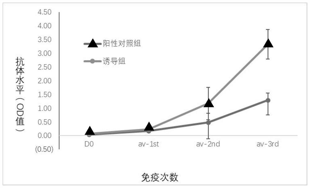 Animal experiment operation method for improving antibody secretion of novel coronavirus vaccine to special crowds