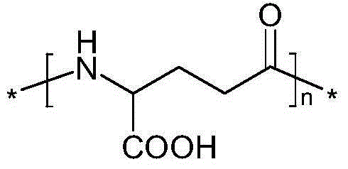 Method for preparing gamma-polyglutamic acid through soild fermentation by utilizing edible fungi residues