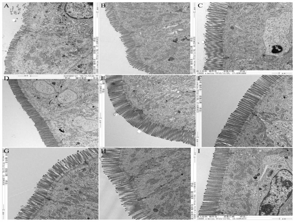 A formulated feed for improving intestinal barrier function of early-weaned piglets and its feeding method