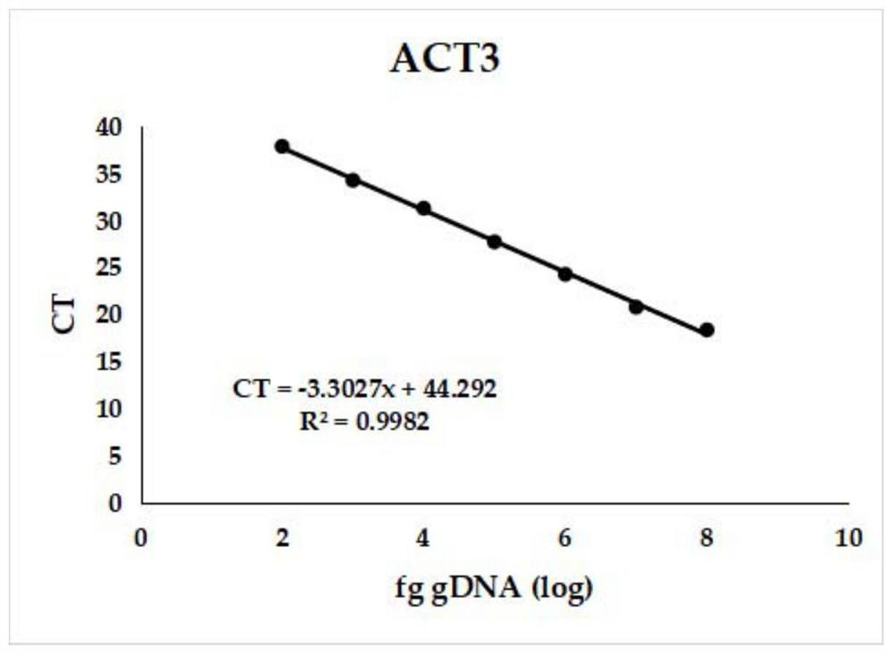 Method for quantitatively detecting colletotrichum gloeosporioides by utilizing real-time fluorescent PCR (Polymerase Chain Reaction)